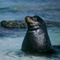 Galapagos Islands, Ecuador